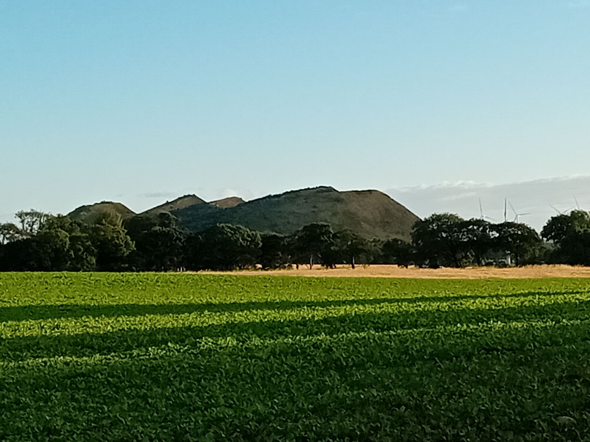 Five Sisters Bing